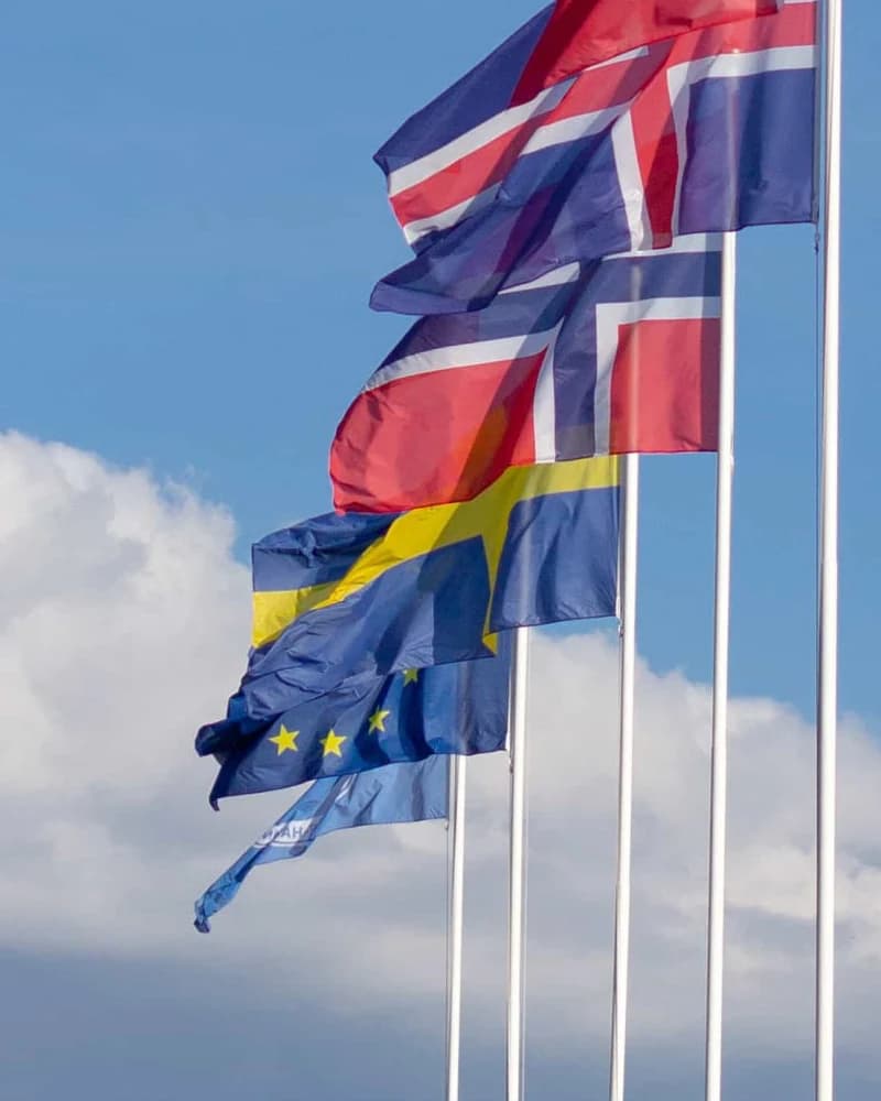 Zweedse vlag wappert naast de Europese vlag in een rij Noordse vlaggen tegen een blauwe lucht